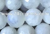 CMS1862 15.5 inches 10mm faceted round white moonstone gemstone beads