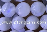 CMS1922 15.5 inches 8mm round white moonstone gemstone beads