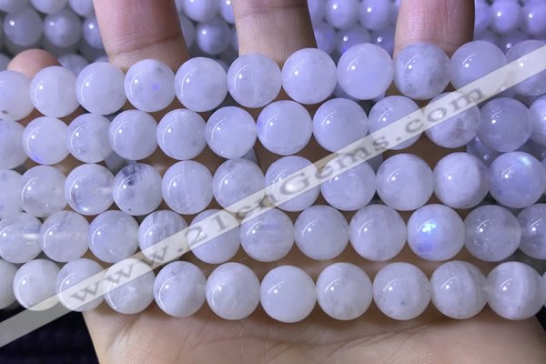 CMS1923 15.5 inches 10mm round white moonstone gemstone beads