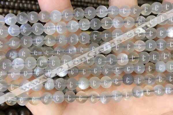 CMS1941 15.5 inches 6mm round grey moonstone beads wholesale