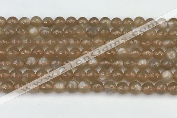 CMS1957 15.5 inches 6mm round natural moonstone gemstone beads