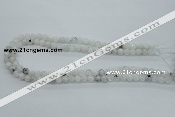 CMS201 15.5 inches 6mm round moonstone gemstone beads wholesale