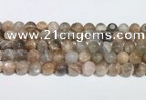 CMS2012 15.5 inches 10mm round moonstone gemstone beads