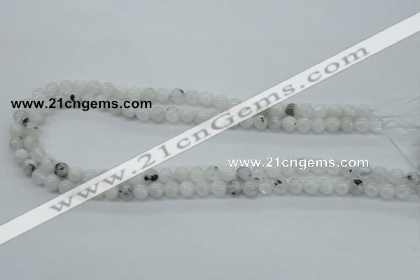 CMS202 15.5 inches 7mm round moonstone gemstone beads wholesale