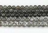 CMS2022 15.5 inches 10mm round black moonstone beads wholesale