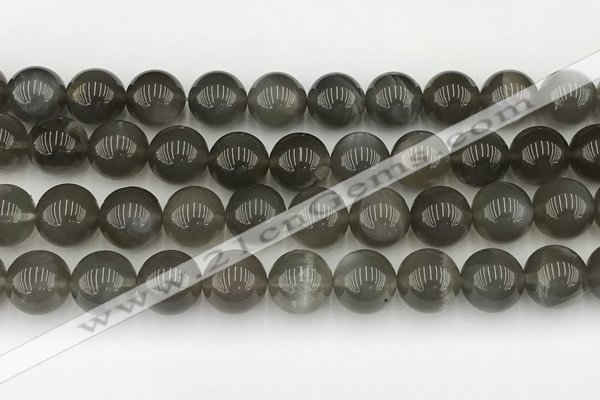 CMS2023 15.5 inches 12mm round black moonstone beads wholesale