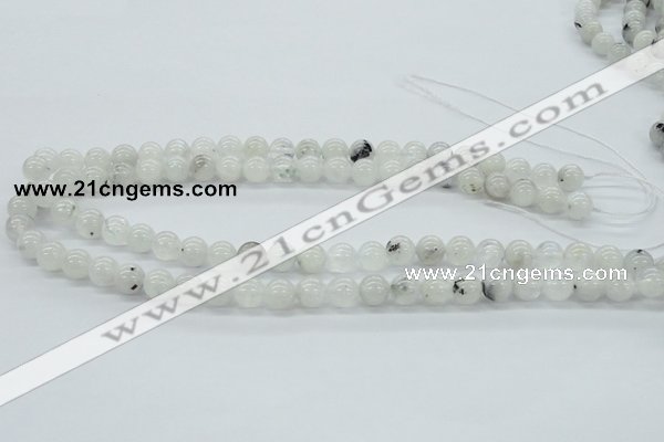 CMS203 15.5 inches 9mm round moonstone gemstone beads wholesale