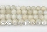 CMS2030 15.5 inches 12mm round white moonstone beads wholesale