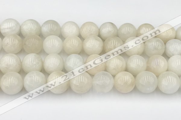 CMS2031 15.5 inches 14mm round white moonstone beads wholesale