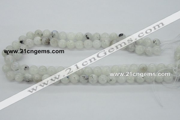 CMS204 15.5 inches 10mm round moonstone gemstone beads wholesale