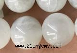 CMS2052 15.5 inches 10mm round moonstone gemstone beads