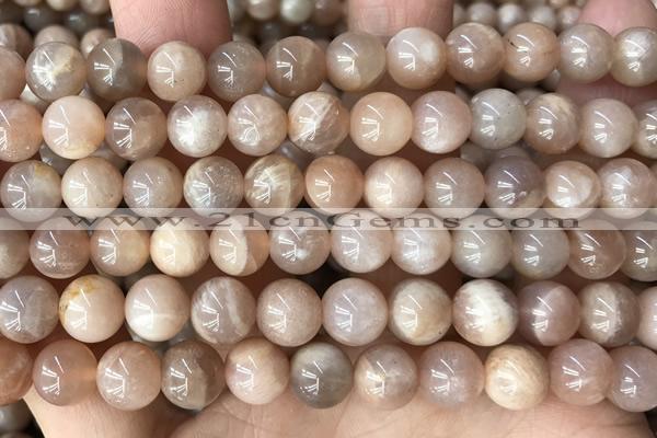 CMS2055 15.5 inches 8mm round moonstone gemstone beads