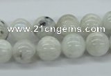 CMS206 15.5 inches 12mm round moonstone gemstone beads wholesale