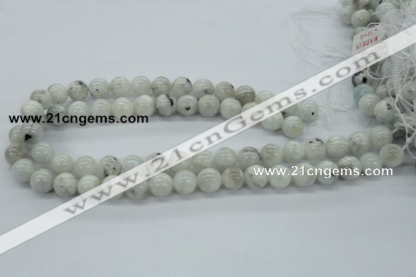 CMS206 15.5 inches 12mm round moonstone gemstone beads wholesale