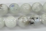 CMS207 15.5 inches 14mm round moonstone gemstone beads wholesale