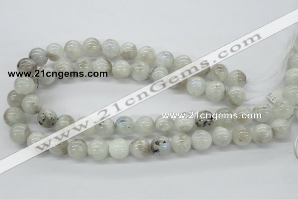 CMS207 15.5 inches 14mm round moonstone gemstone beads wholesale