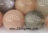 CMS2073 15 inches 12mm round moonstone gemstone beads