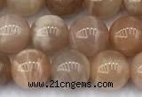 CMS2111 15 inches 8mm round moonstone beads