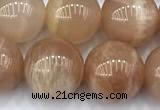 CMS2113 15 inches 10mm round moonstone beads