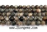 CMS2289 15 inches 10mm round grey moonstone beads wholesale