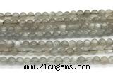 CMS2294 15 inches 6mm round grey moonstone beads wholesale