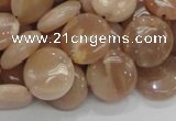 CMS23 15.5 inches 14mm flat round moonstone gemstone beads wholesale