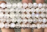 CMS2312 15 inches 8mm round white moonstone gemstone beads