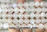 CMS2313 15 inches 10mm round white moonstone gemstone beads