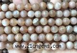 CMS2356 15 inches 8mm round moonstone beads wholesale