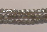 CMS300 15.5 inches 5mm round natural grey moonstone beads wholesale