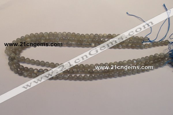 CMS300 15.5 inches 5mm round natural grey moonstone beads wholesale