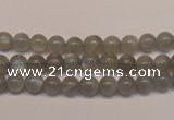 CMS301 15.5 inches 6mm round natural grey moonstone beads wholesale