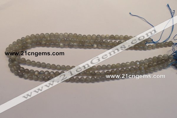 CMS301 15.5 inches 6mm round natural grey moonstone beads wholesale