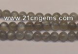 CMS302 15.5 inches 7mm round natural grey moonstone beads wholesale