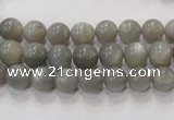 CMS303 15.5 inches 8mm round natural grey moonstone beads wholesale