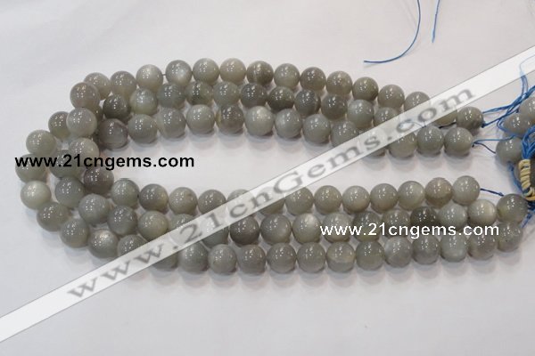 CMS303 15.5 inches 8mm round natural grey moonstone beads wholesale