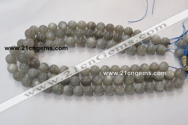 CMS304 15.5 inches 9mm round natural grey moonstone beads wholesale