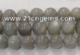 CMS305 15.5 inches 10mm round natural grey moonstone beads wholesale