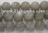 CMS307 15.5 inches 12mm round natural grey moonstone beads wholesale