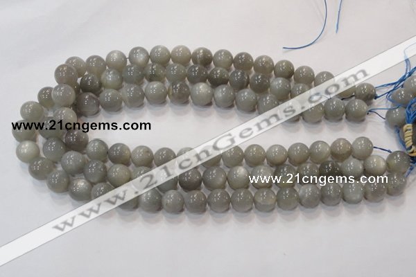 CMS307 15.5 inches 12mm round natural grey moonstone beads wholesale