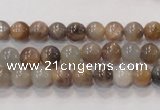 CMS310 15.5 inches 6mm round natural moonstone beads wholesale