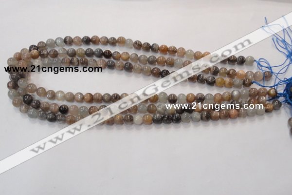 CMS310 15.5 inches 6mm round natural moonstone beads wholesale