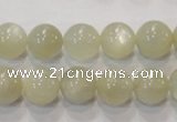 CMS313 15.5 inches 10mm round natural moonstone beads wholesale