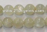 CMS314 15.5 inches 12mm round natural moonstone beads wholesale