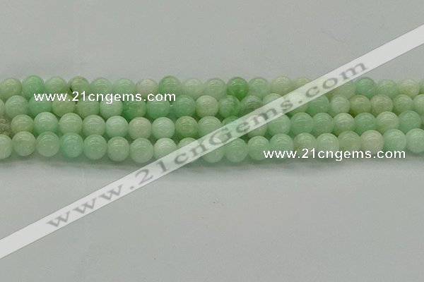 CMS411 15.5 inches 6mm round green moonstone beads wholesale