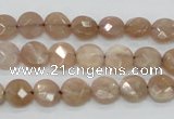 CMS43 15.5 inches 8mm faceted coin moonstone gemstone beads