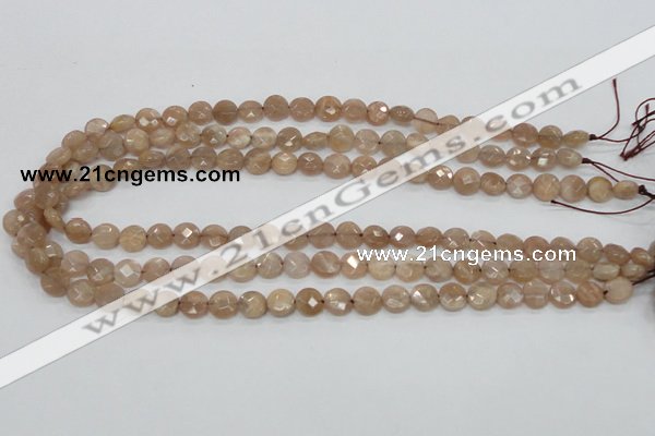 CMS43 15.5 inches 8mm faceted coin moonstone gemstone beads