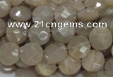 CMS44 15.5 inches 10mm faceted coin moonstone gemstone beads