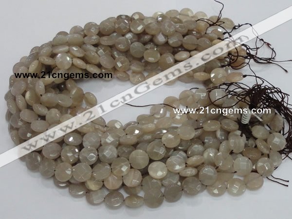 CMS44 15.5 inches 10mm faceted coin moonstone gemstone beads