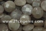 CMS46 15.5 inches 14mm faceted coin moonstone gemstone beads